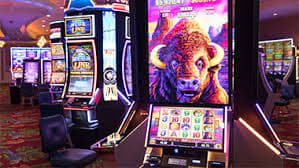lgexch live Slots